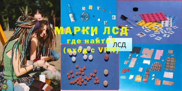 дживик Вязьма