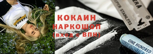 дживик Вязьма